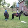 Ponyralley 151